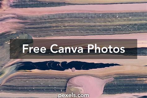 canva free stock photos